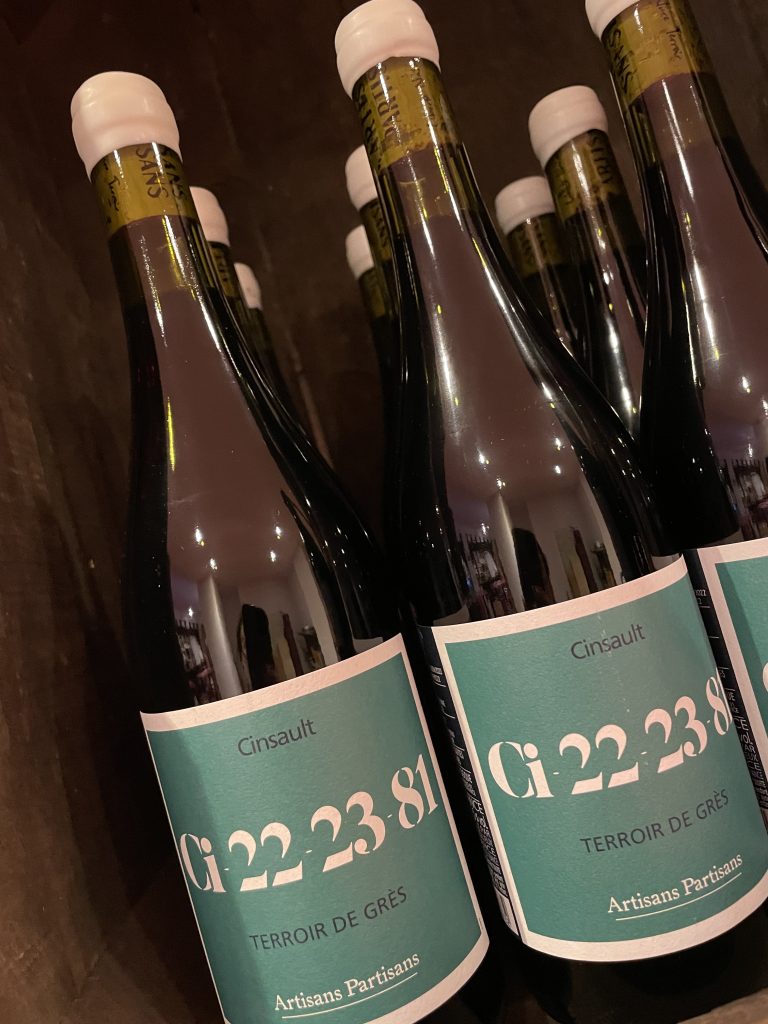 Ci-22-23-81