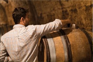 Valentin Desloges Touraine Domaine Les Quatre Piliers